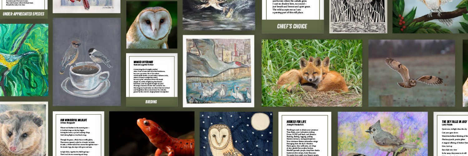 Ohio Div of Wildlife's banner