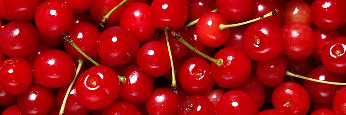 Celebrity Tits 🍒's banner