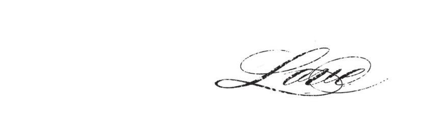 chispop ໑̣'s banner