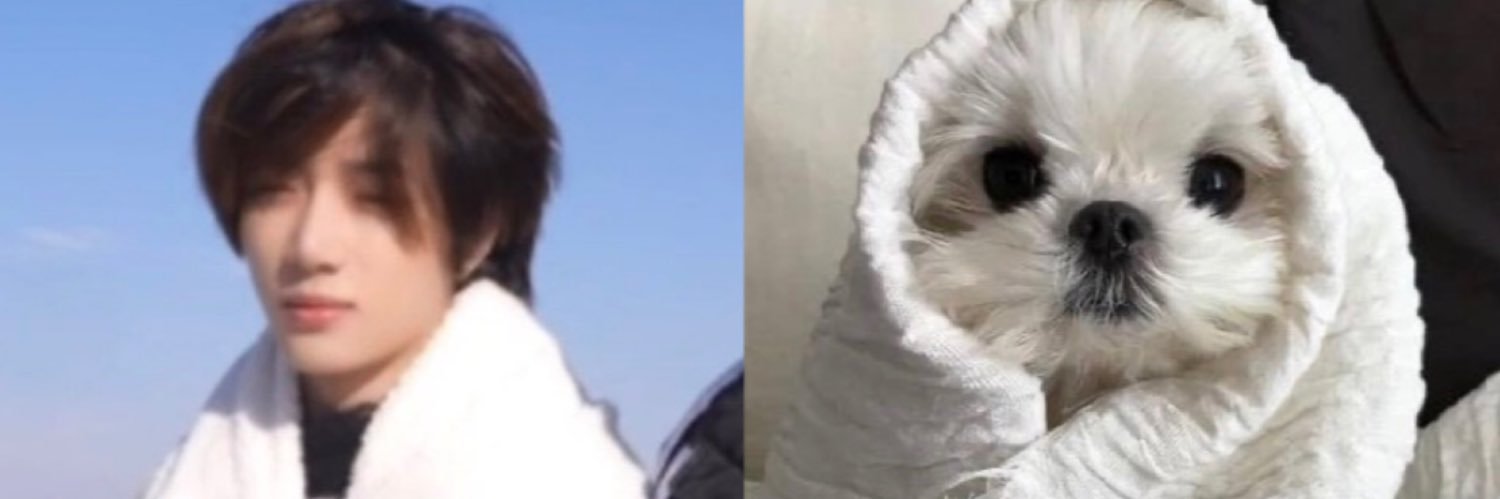 gyu bear's banner