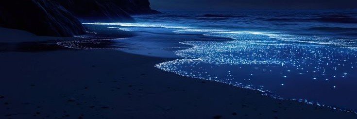 ѕняєуα ᥫ᭡'s banner