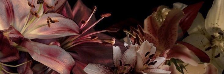 azra's banner