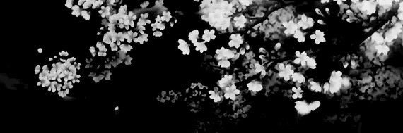 𝓈𝒽𝒶𝒹𝑜𝓌𝒷𝓍𝓃𝓃𝓎 𐙚's banner