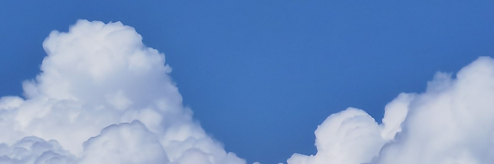 屿林（求求点关注版）'s banner