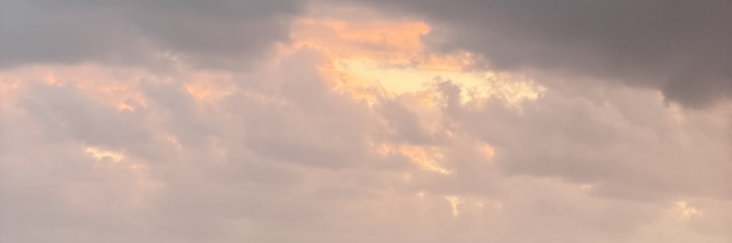 Sonia's banner