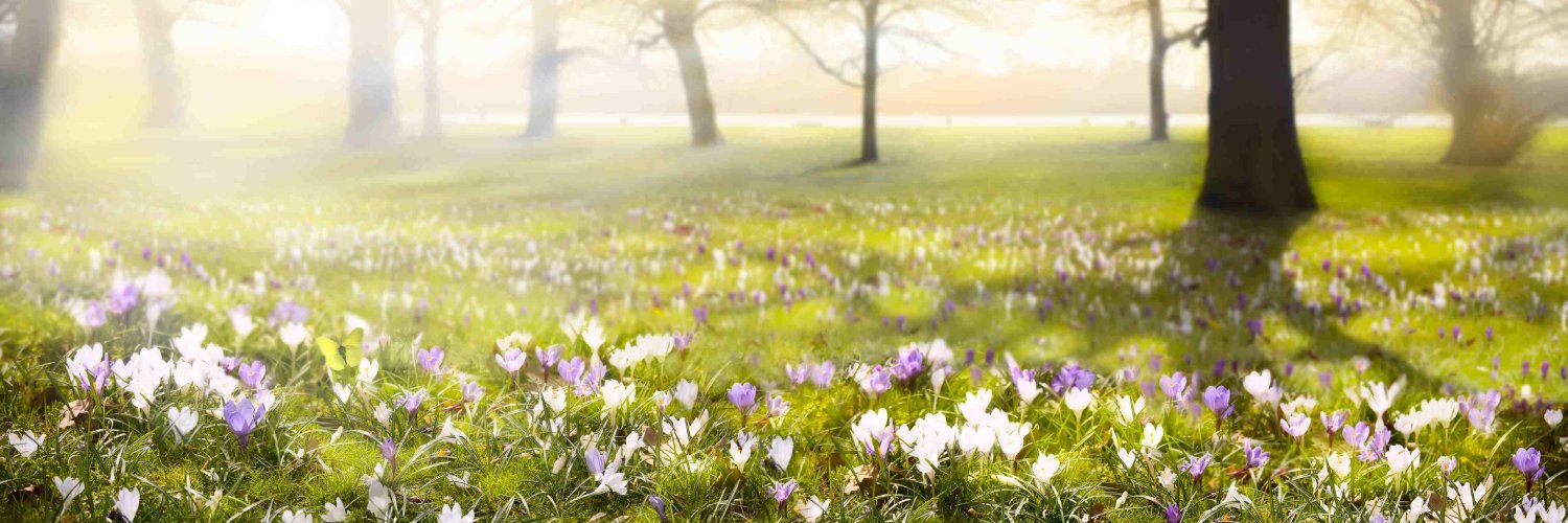 Kyla 18+ فتاة عربية's banner
