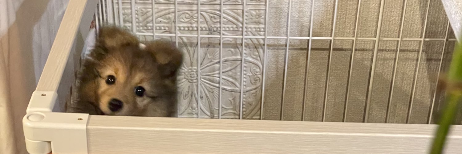 ℝ𝕒𝕞𝕔𝕙𝕒𝕟's banner