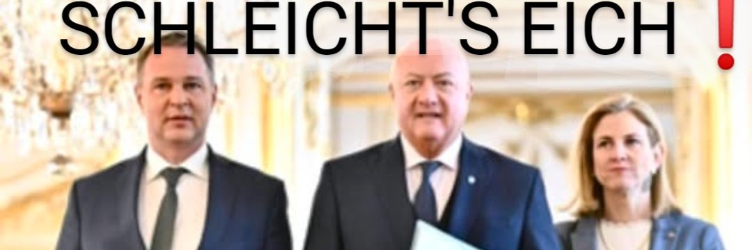 Hirtermichi™ (alles nur Satire!) 💙🇦🇹🍅🍺🥝's banner