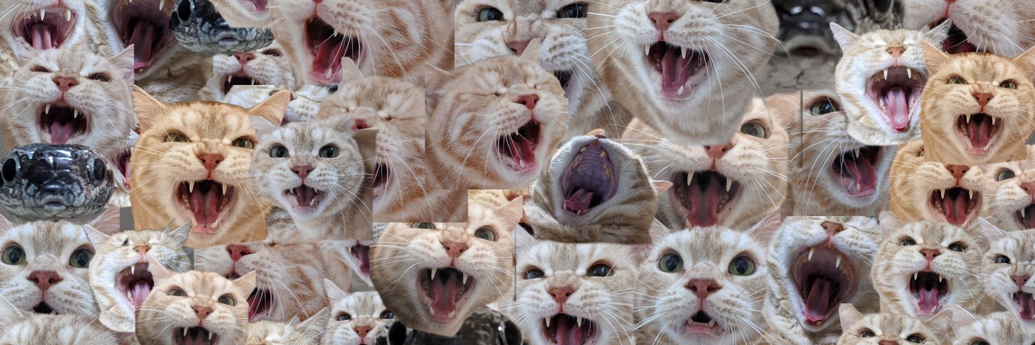 nekosuki🐈🐍's banner