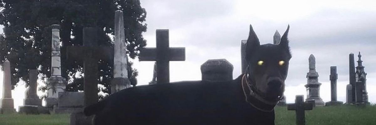 ♱ ♱ ♱'s banner