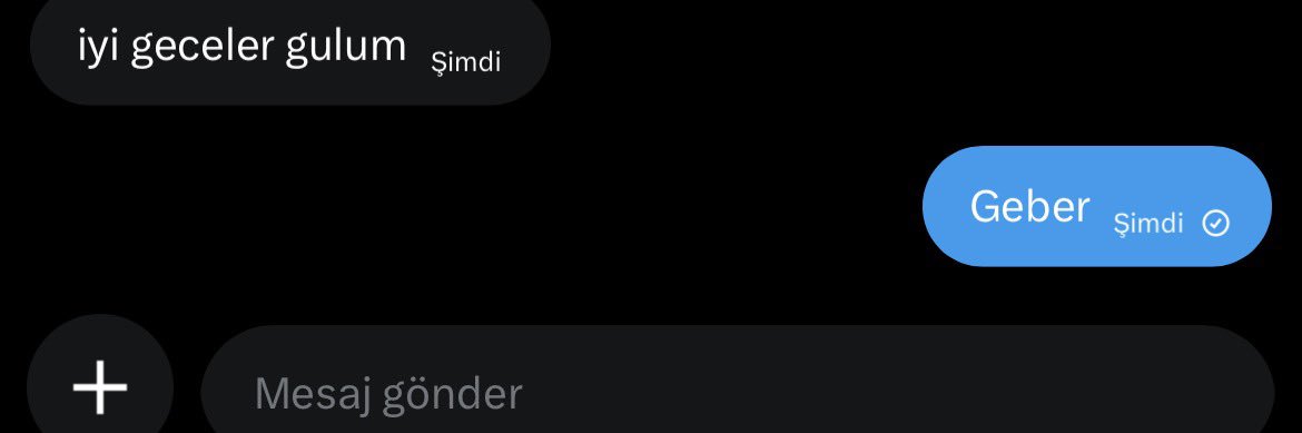 🦭sedef's banner