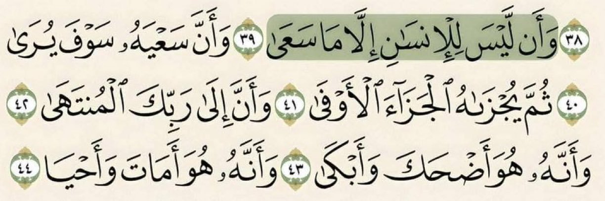 صبّارة للتصعيد🌵.'s banner