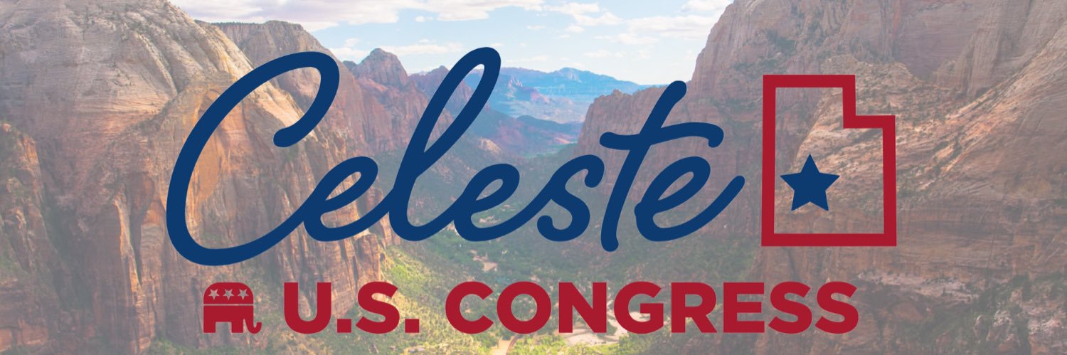 Celeste Maloy's banner
