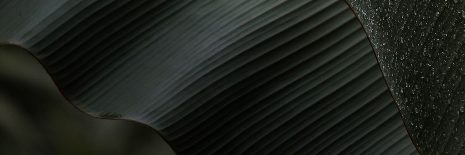 皮大点事's banner