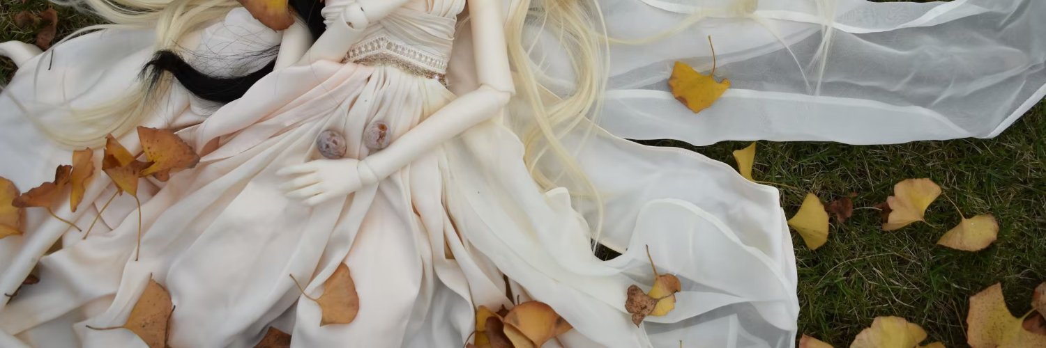 肖肖's banner