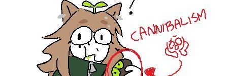 𝑲𝒊𝒘𝒊𝒊 (σ≧▽≦)σ 🌿🥝's banner