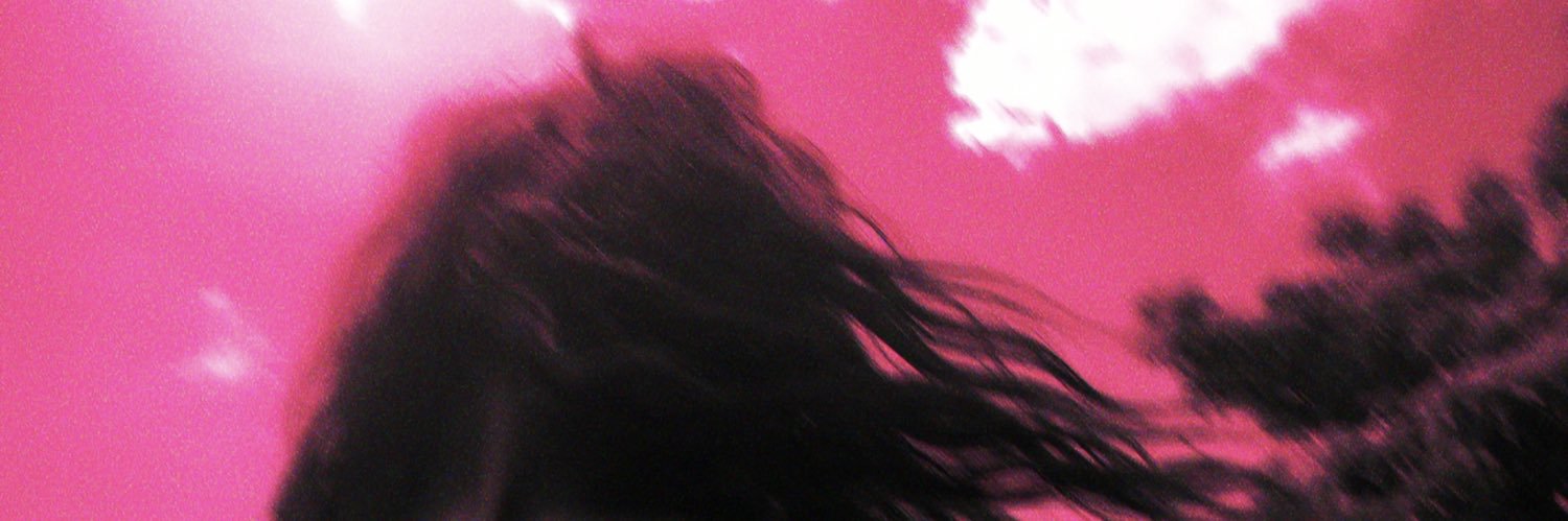 ann's banner