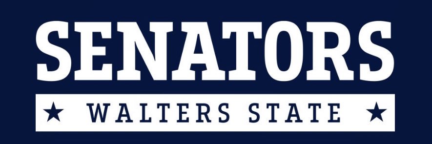 Walters State Men’s Basketball's banner