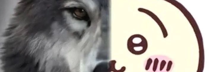 🫐's banner