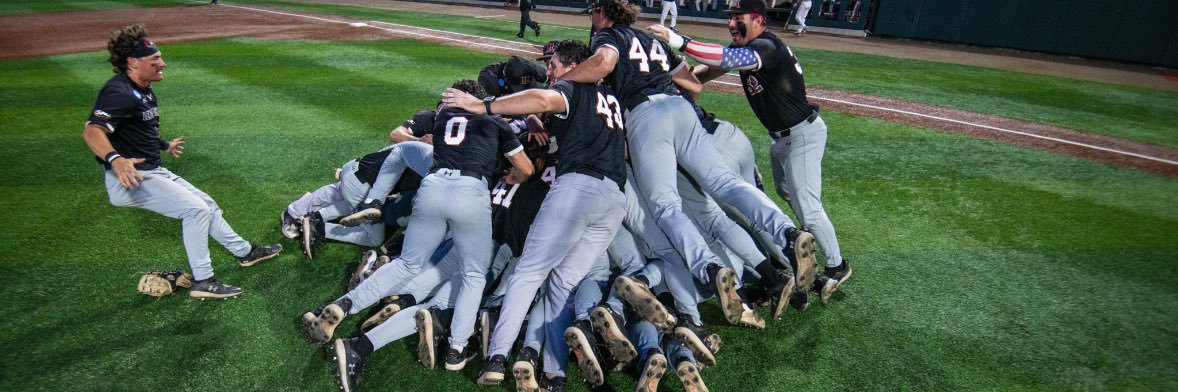 LR BEARS BASEBALL's banner