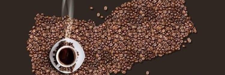 بن جد الحفيد's banner