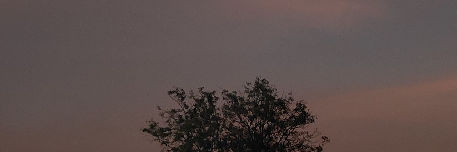 Hakuna matata's banner
