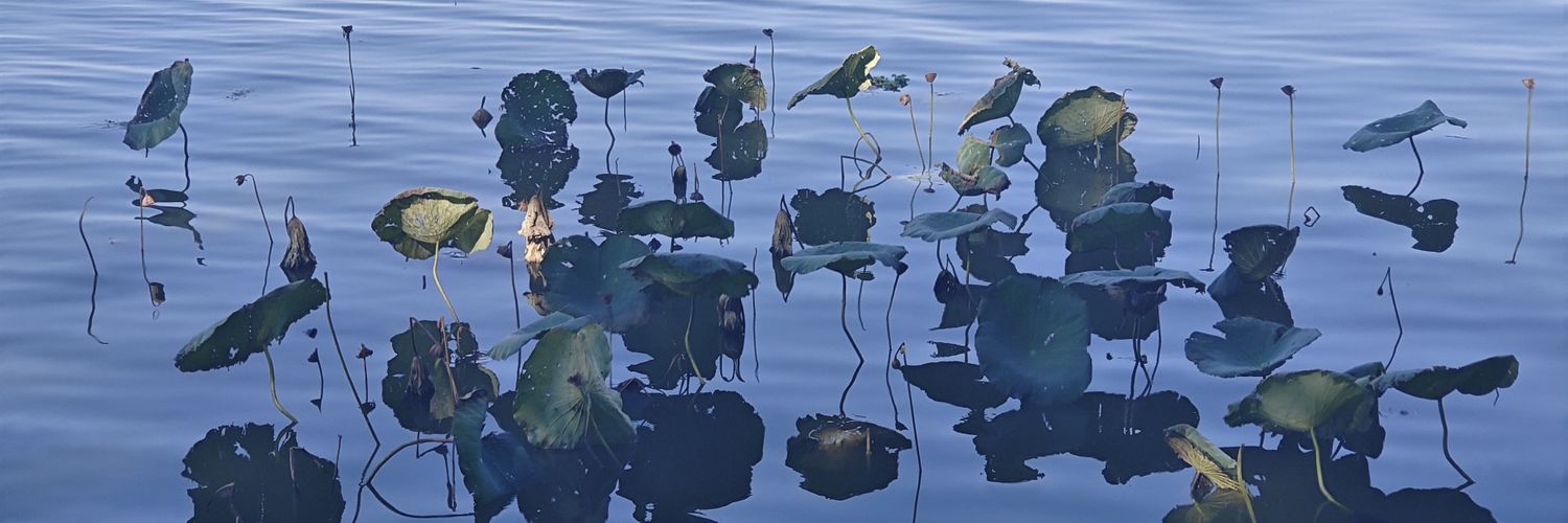 芝士西米冰面包's banner