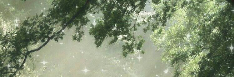 колба дотторе🧪's banner