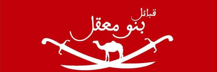 Arab Maeqili 🇵🇸's banner