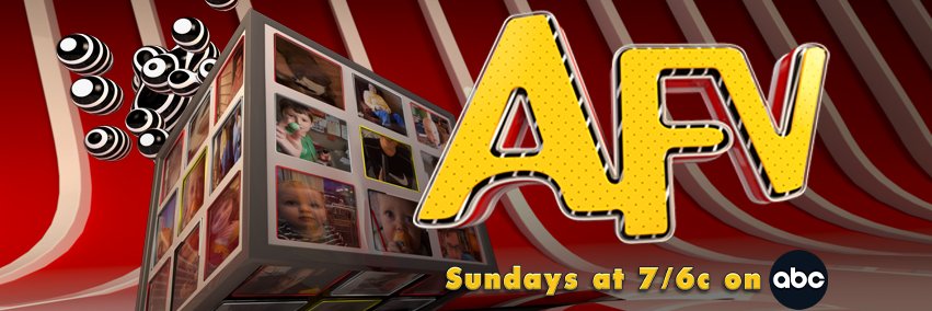 AFV's banner