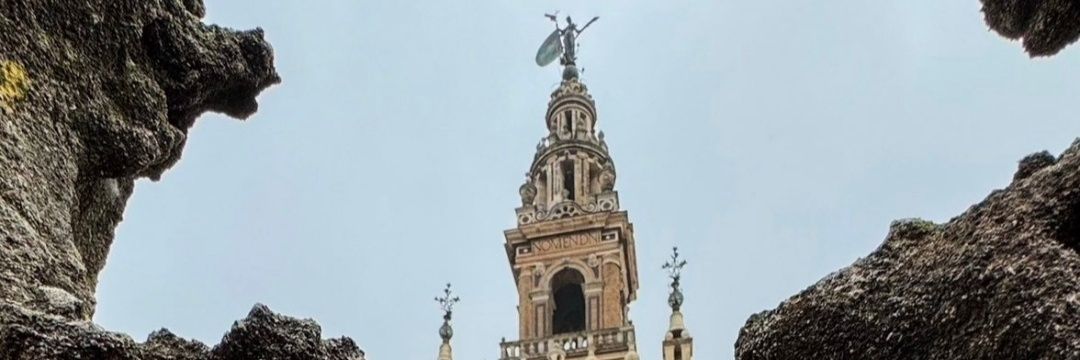 Manuel Vega's banner