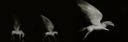 Srita's banner