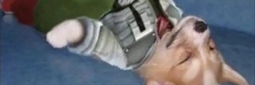 DouZoZ's banner