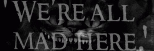 Asylum lifestyle's banner