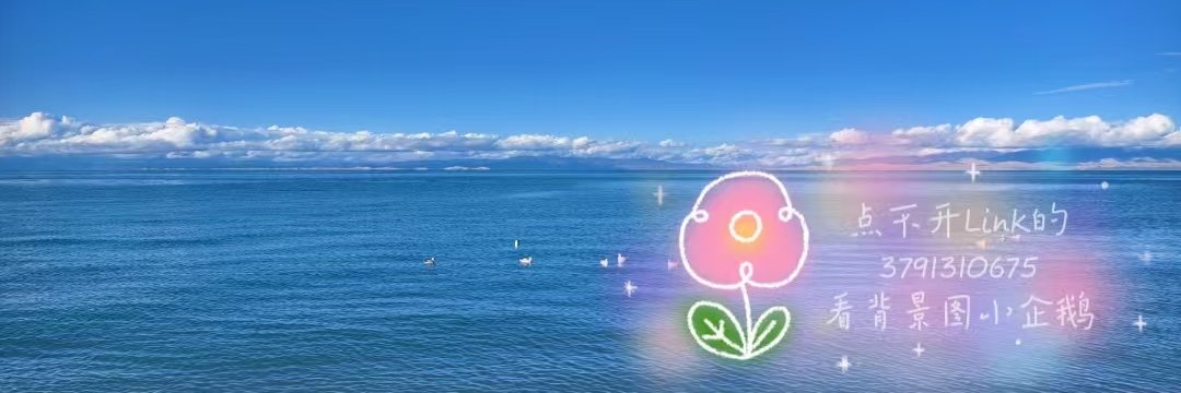金丝丝麻麻's banner