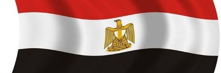 Mina Ibrahim's banner