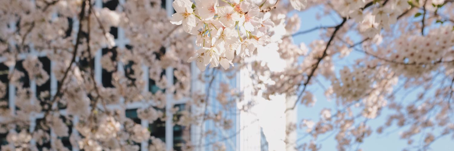 Tanha Tabassum Shreta 🌸's banner