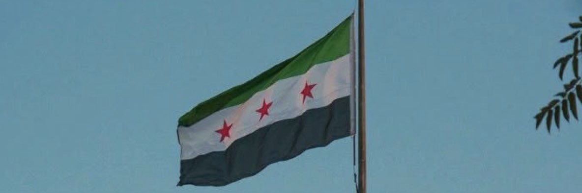 ديما الملا's banner