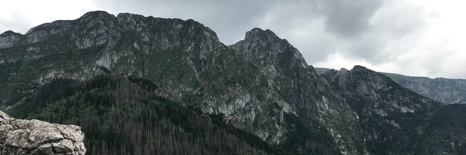 Kamil Dybowicz's banner