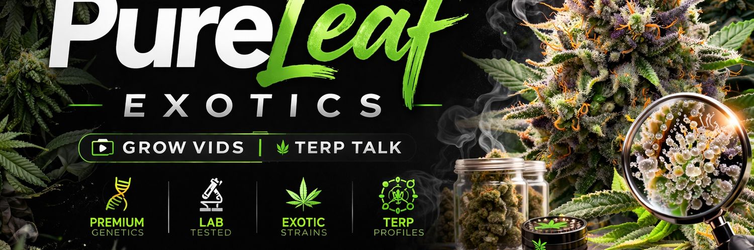 PureLeaf Exotics | Grow Vids | Terp Talk's banner
