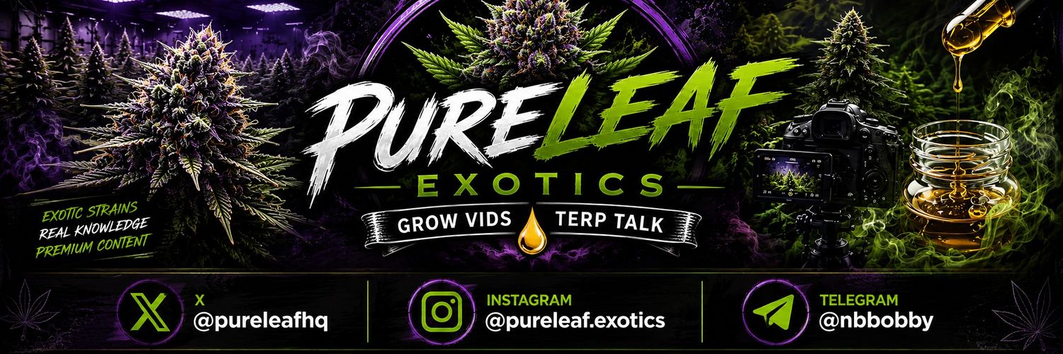 PureLeaf Exotics | Grow Vids | Terp Talk's banner