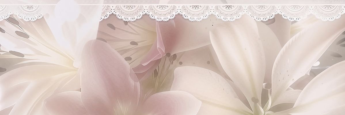 siora ♡'s banner