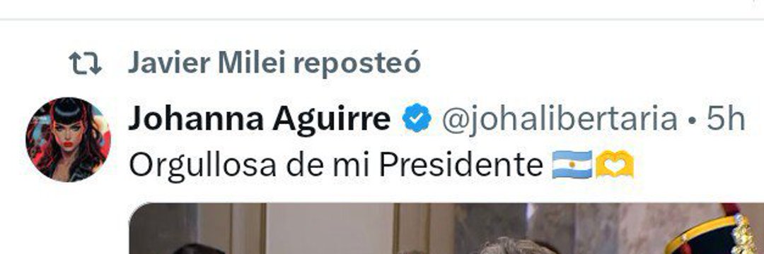 Johanna Aguirre's banner