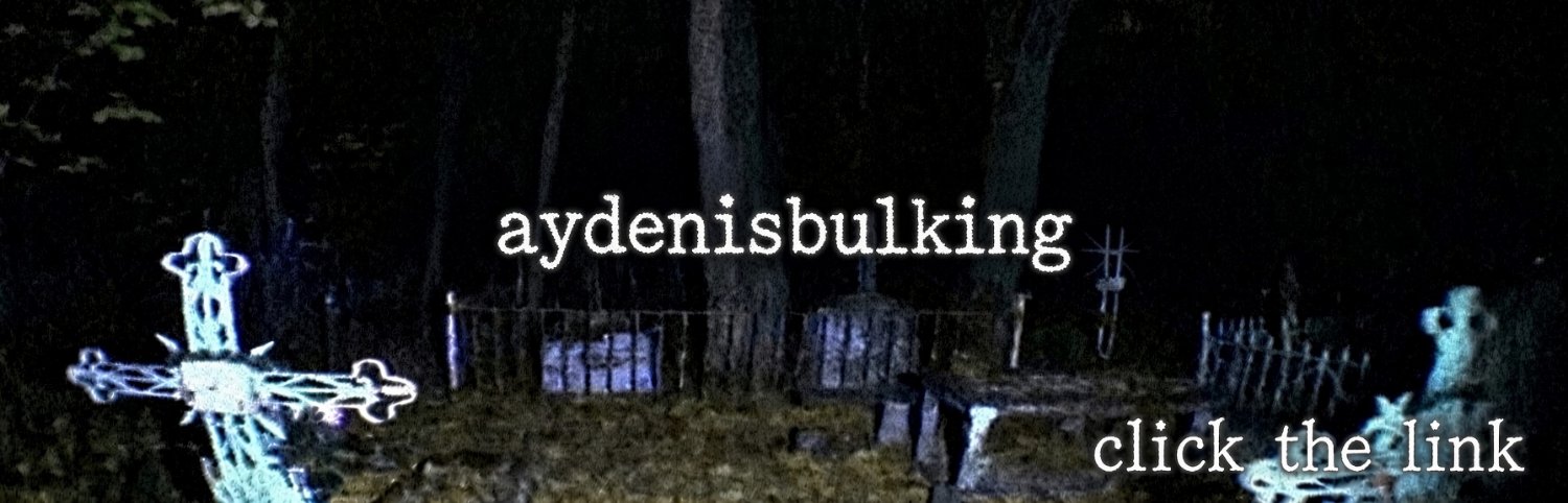 aydenisbulking's banner