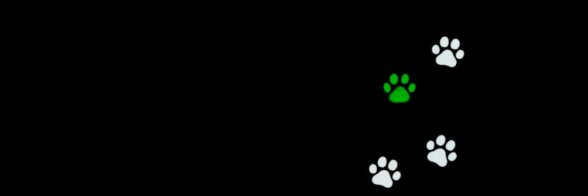 🔞 ꕀ﹒ 𝕴saya (cmms closed)'s banner