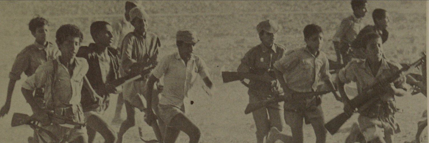 روني الدنماركي's banner