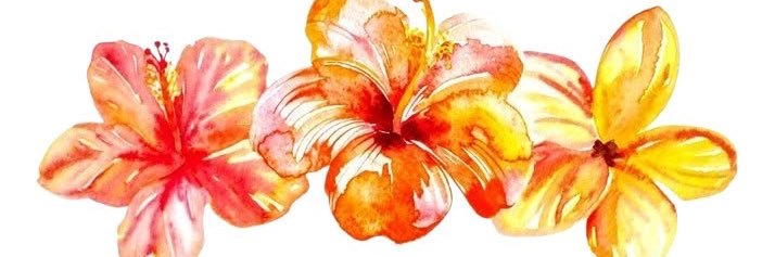 gigi🍊's banner