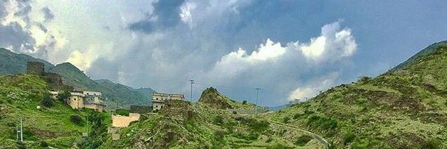 بندر الزهراني's banner