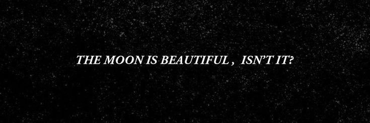 ༺ ❅ ༻'s banner