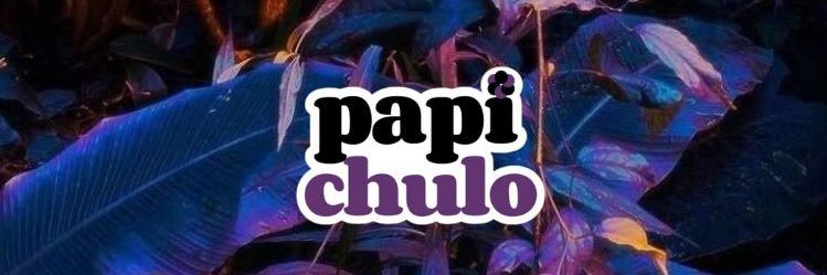 usepapichulo's banner